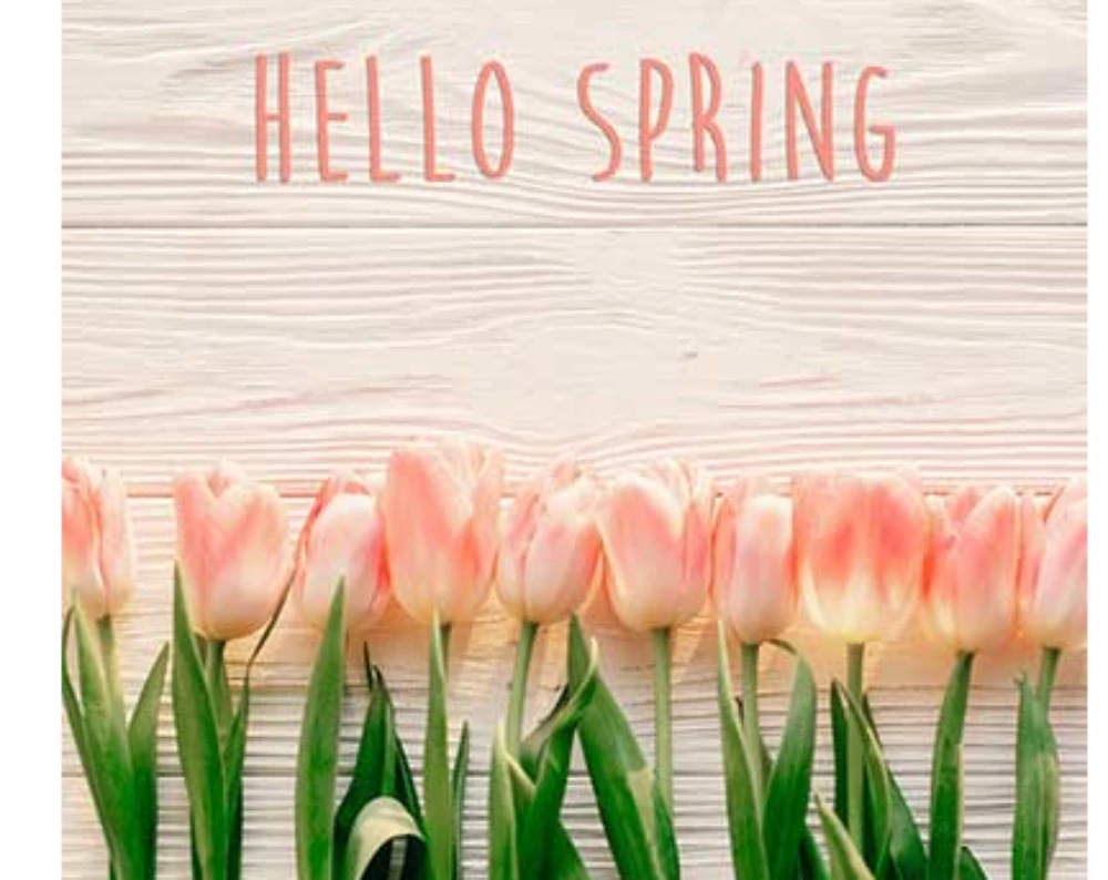 spring-hvac-maintenance-for-florida-homes