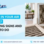 mold-in-your-air-ducts-warning-signs-and-what-to-do