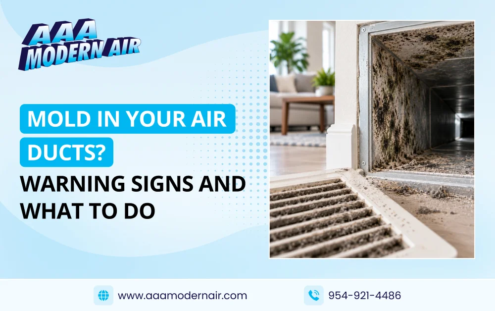 mold-in-your-air-ducts-warning-signs-and-what-to-do